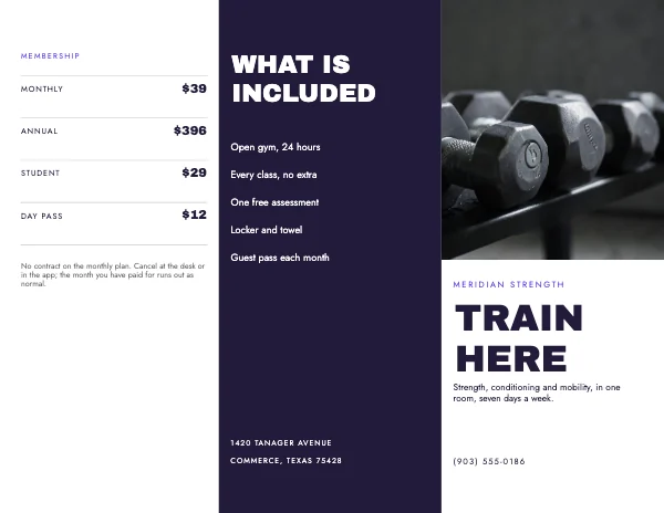 Violet and Mint 11 × 8.5 in Fitness Tri-Fold Brochure