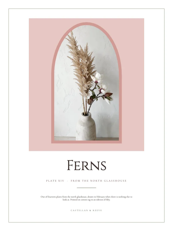Blush and Oat Minimalist 18×24 Botanical Poster